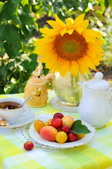 Still life with fruits and tea in the garden