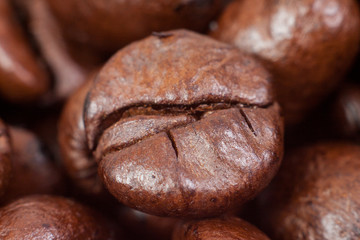 Coffee bean macro