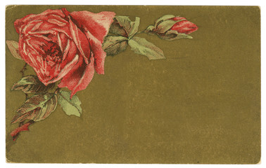 Vintage Roses Background Greeting Card