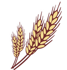 Wheat ear