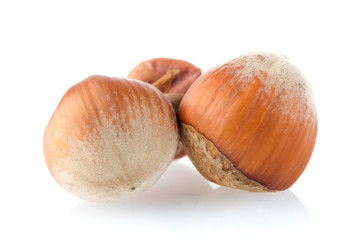 Three hazelnuts