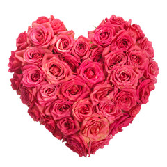 Rose Flowers Heart Over White. Valentine. Love