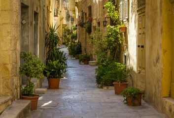 One of the hidden streets in ancient Rabat - obrazy, fototapety, plakaty