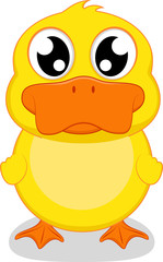 Cute Little Duck