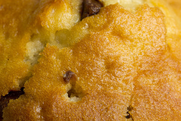 Muffin Close Up