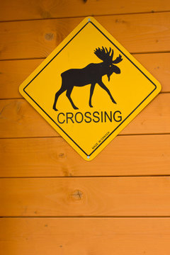 Moose Crossing