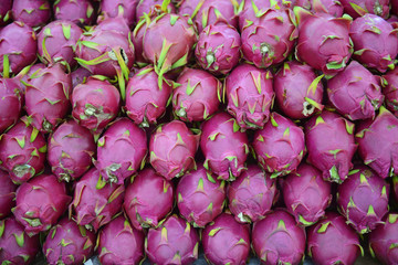 Row of Dragon fruit background