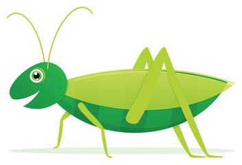 Cute Cartoon Vector Grasshopper