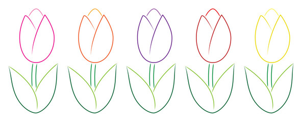 Hand drawn tulips in vector format.