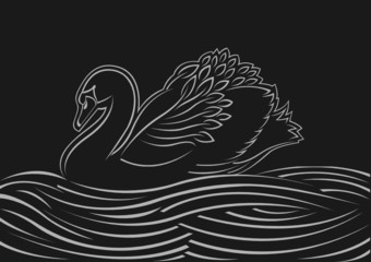 lonely swan