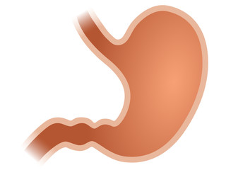 Icon Magentrakt – Vektor und freigestellt