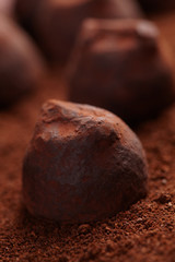 chocolate truffles