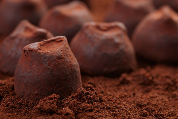 chocolate truffles