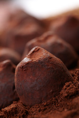 chocolate truffles