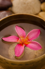 Obraz na płótnie Canvas frangipani Plumeria spa concept photo