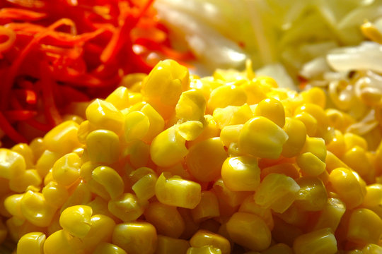 「Adelgazamiento」の写真素材 259件の無料イラスト画像 Adobe Stock