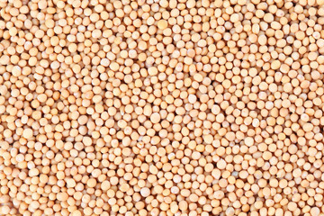 Fototapeta premium Mustard seeds background