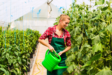 Female gardener in market garden or nursery