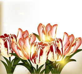 Cute background with tulips