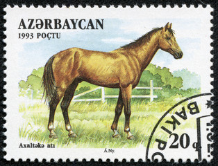 stamp  shows Akhal-Teke Akhaltekin breed horse
