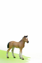 Obraz na płótnie Canvas Miniaturowy koń