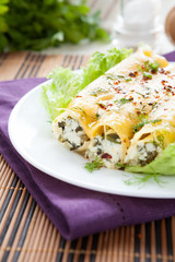 cannelloni with ricotta and spinach on white plate