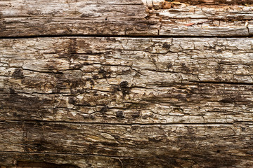 Textura de madera rustica.