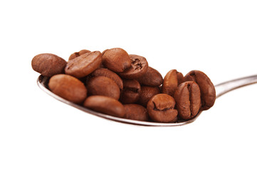 coffee beans on a spoon