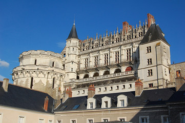 Fototapeta na wymiar Zamek Amboise