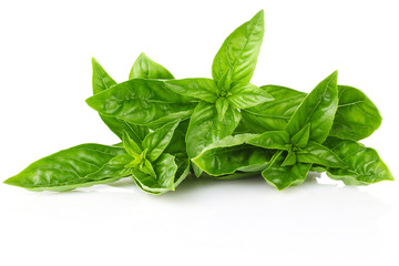 twig fresh basil