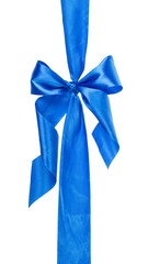 blue tied bow from ribbon