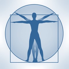 Naklejka premium leonardo 2401a