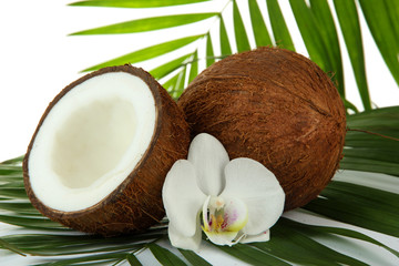 Coconuts with leaves and flower, close up