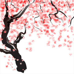 Cherry tree blossom - 48833563