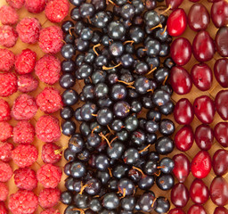different fresh berries: raspberries, currant, dogwood berries