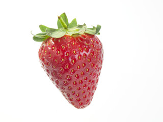 strawberry on white background