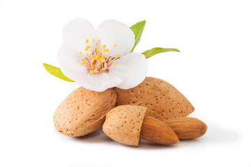 Almond with flower - 48834774