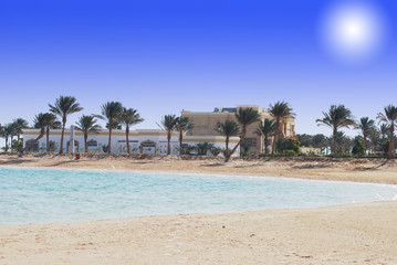 sand beach with sea and palms in Egypt