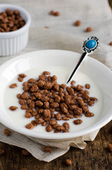 Homemade yogurt with chocolate balls