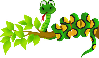 Snake cartoon