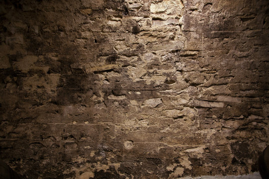 Cellar Wall Images Browse 106 005 Stock Photos Vectors and Video Adobe Stock