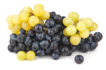 fresh blue grapes