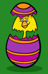 chicken in easter egg cartoon illustration