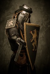 Medieval knight with sword and shield against stone wall