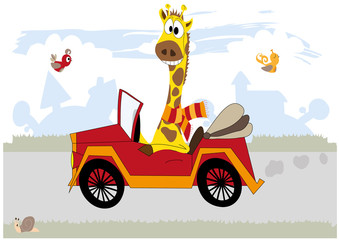 Blije giraf in de auto