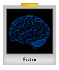 photo frame with human brain. vector illustration