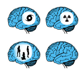 human brain model