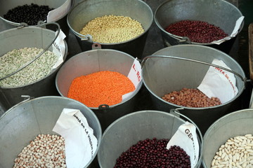 Variety of pulses from Alava Spain