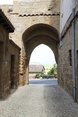 Fototapeta na wymiar Medieval architecture, Briones village, La Rioja, Spain