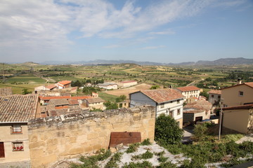 Fototapeta na wymiar View from Briones village, La Rioja, Spain